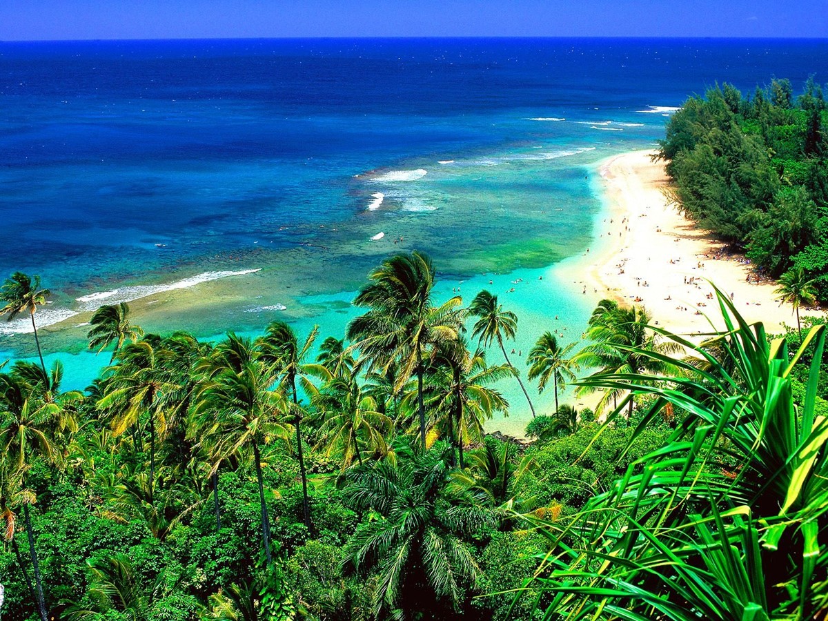 Kauai | LAT.40