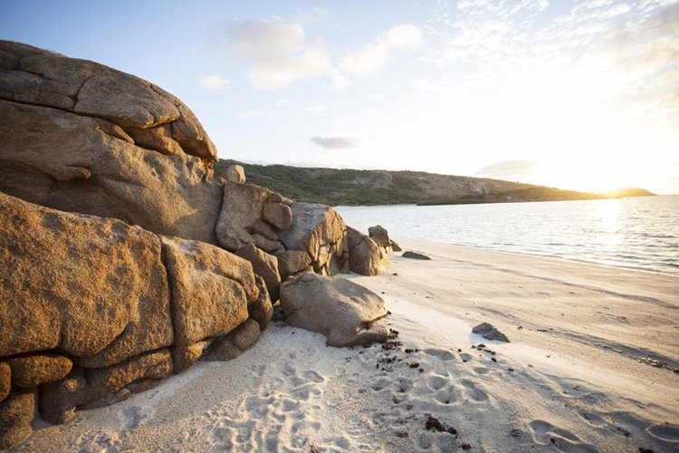 Lizard Island | LAT.40