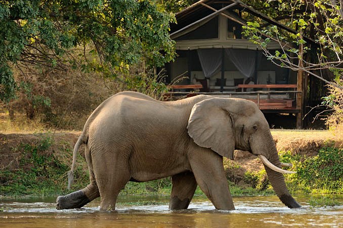 Chiawa Camp en Lower Zambezi