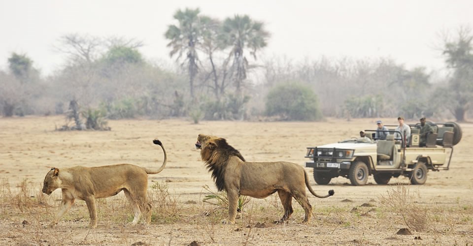 Chiawa Camp en Lower Zambezi