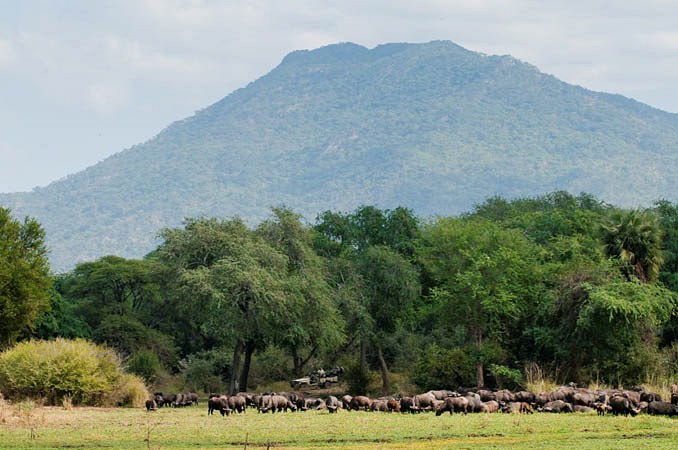 Chiawa Camp en Lower Zambezi