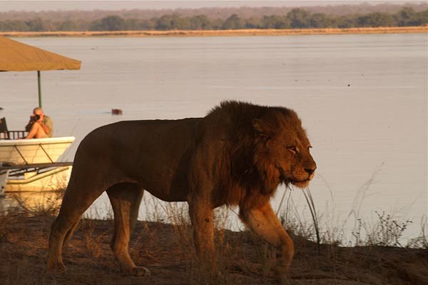 Chiawa Camp en Lower Zambezi