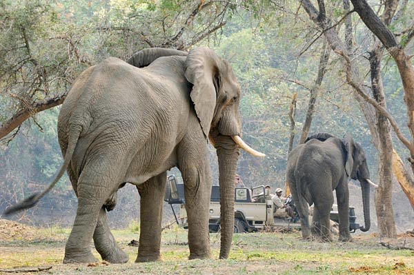 Chiawa Camp en Lower Zambezi