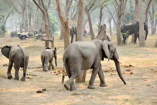 Chiawa Camp en Lower Zambezi
