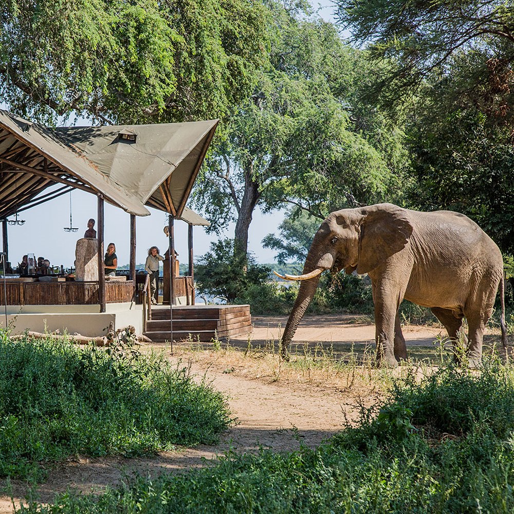 Old Mondoro Bush Camp en Lower Zambezi