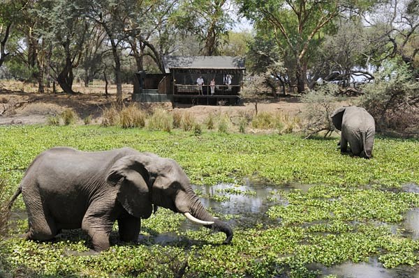 Old Mondoro Bush Camp en Lower Zambezi