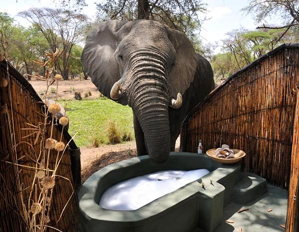Old Mondoro Bush Camp en Lower Zambezi
