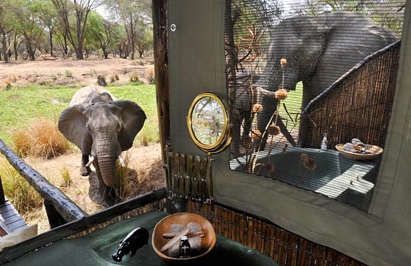 Old Mondoro Bush Camp en Lower Zambezi