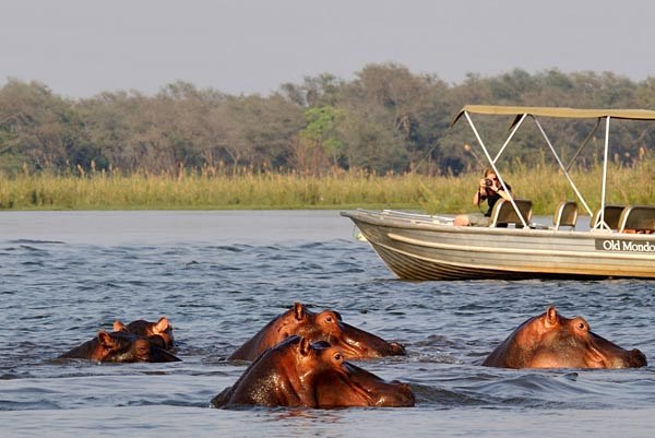 Old Mondoro Bush Camp en Lower Zambezi