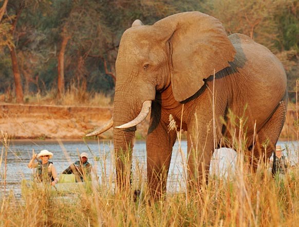 Old Mondoro Bush Camp en Lower Zambezi