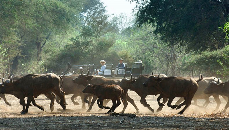 Old Mondoro Bush Camp en Lower Zambezi