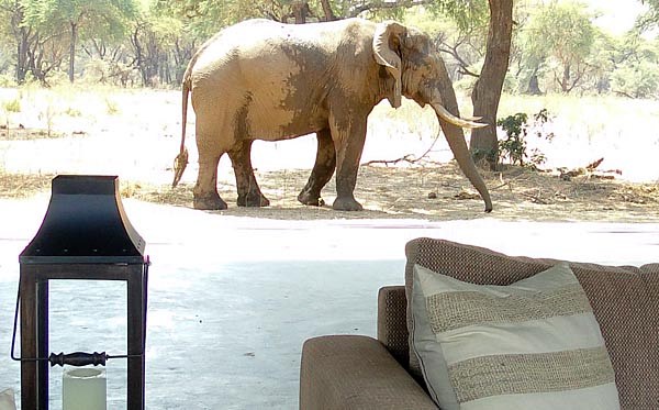 Old Mondoro Bush Camp en Lower Zambezi