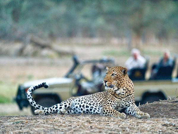 Old Mondoro Bush Camp en Lower Zambezi