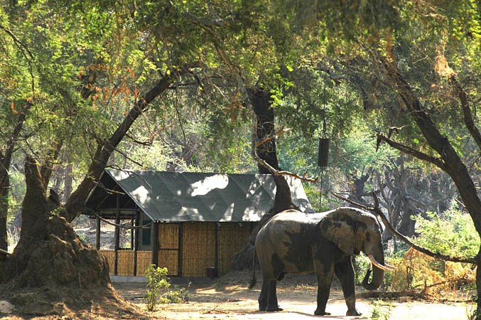 Old Mondoro Bush Camp en Lower Zambezi
