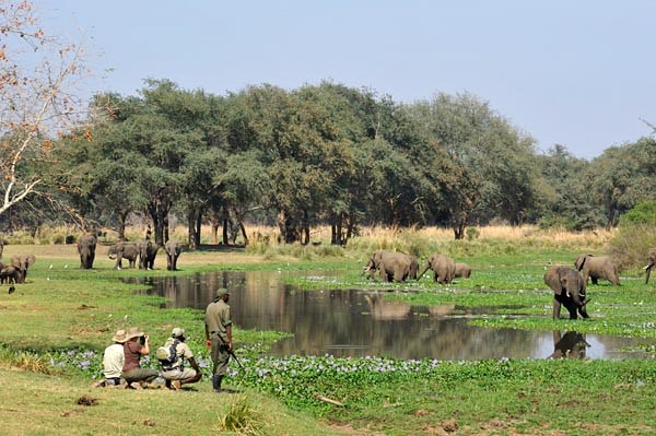 Old Mondoro Bush Camp en Lower Zambezi