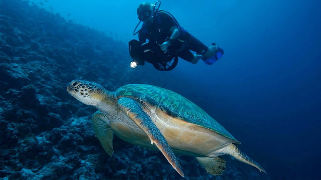 Kudadoo Maldives Private Island en Lhaviyani Atoll