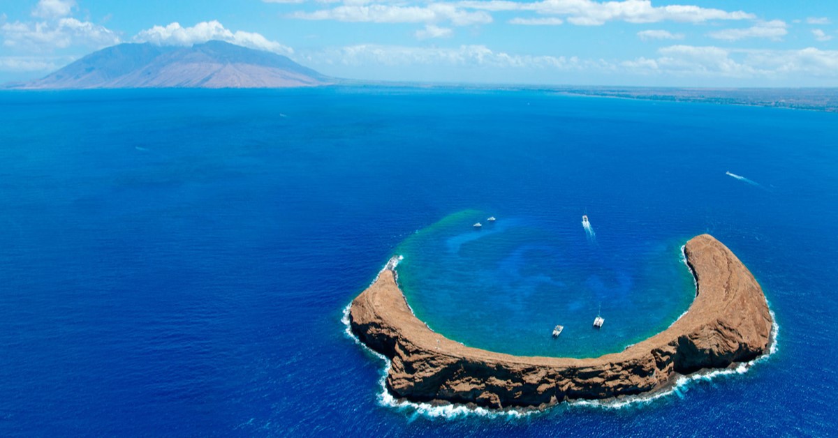 Maui | LAT.40