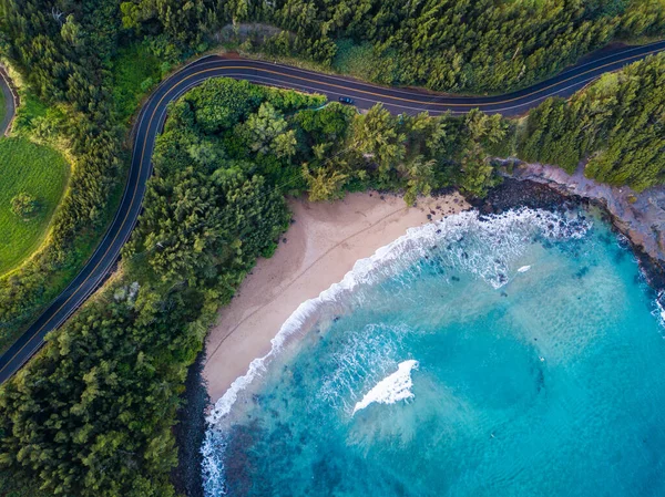 Maui | LAT.40