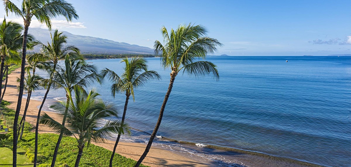 Maui | LAT.40