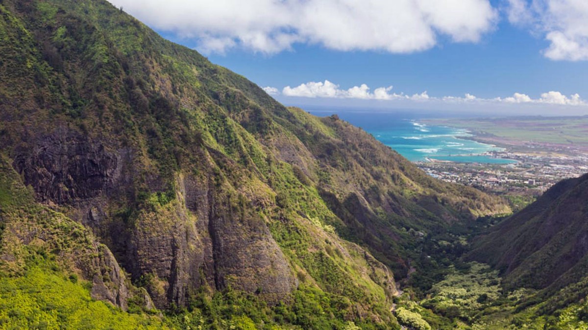 Maui | LAT.40