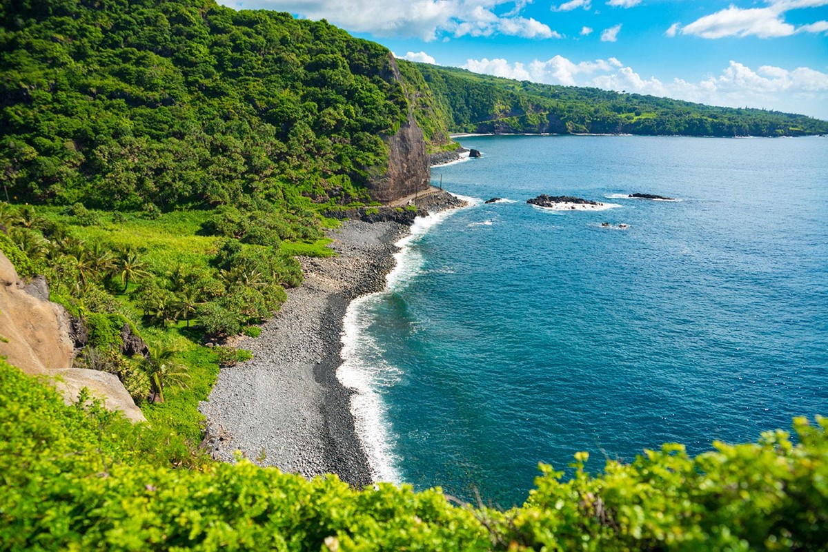 Maui | LAT.40
