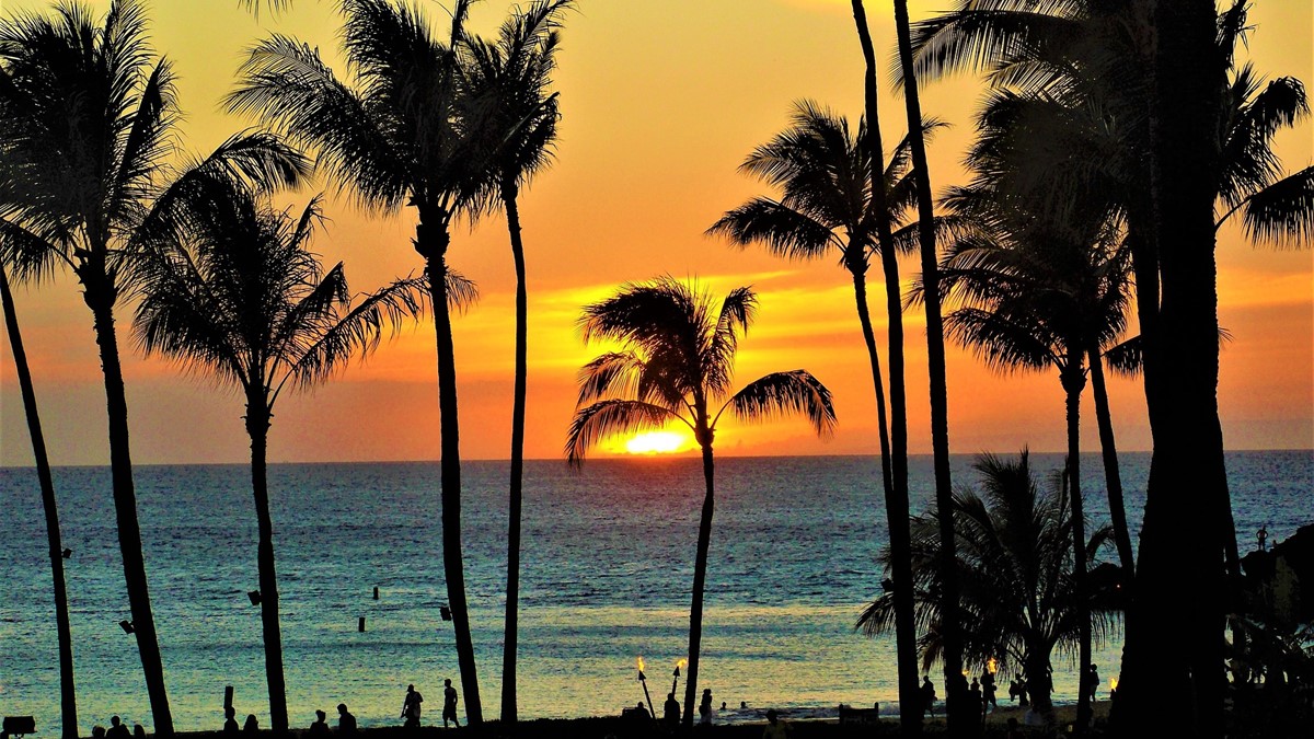 Maui | LAT.40
