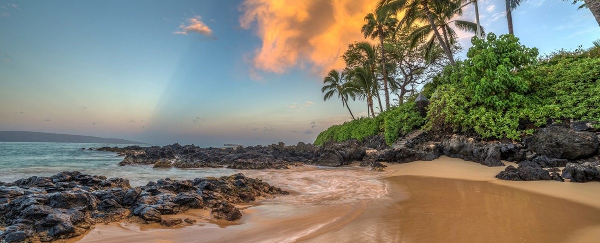 Maui | LAT.40