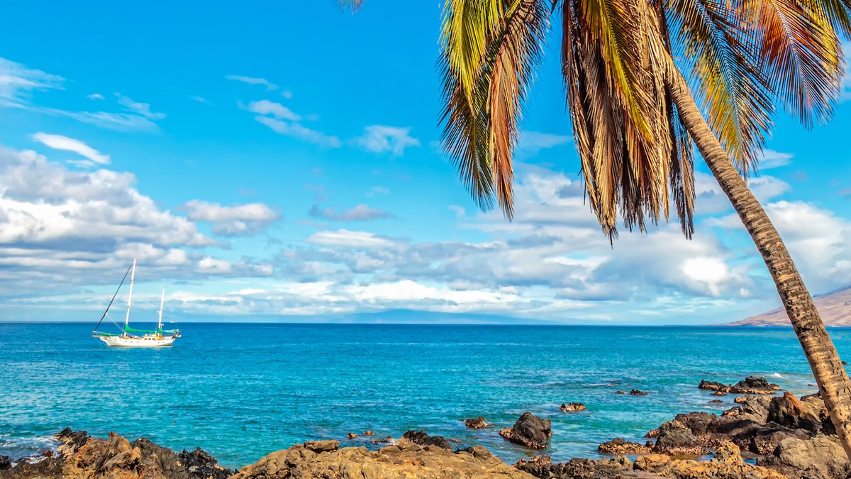 Maui | LAT.40