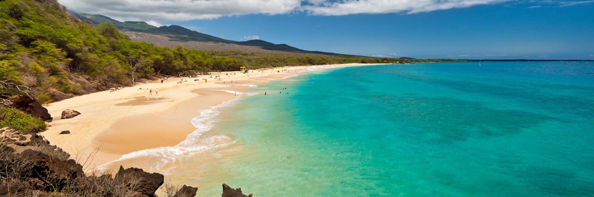 Maui | LAT.40