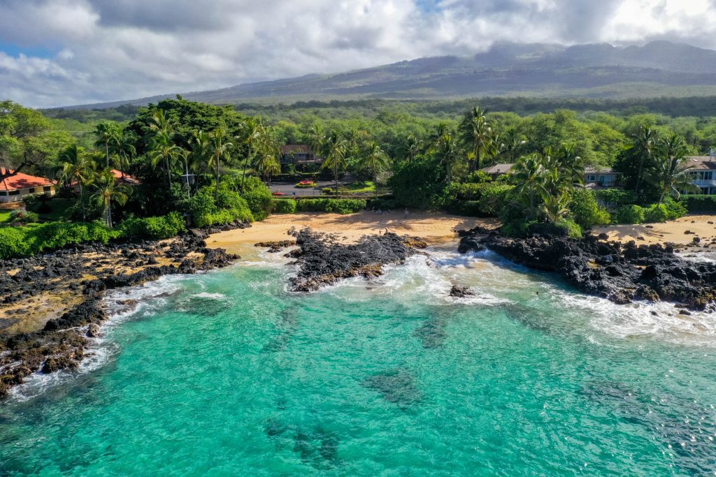Maui | LAT.40