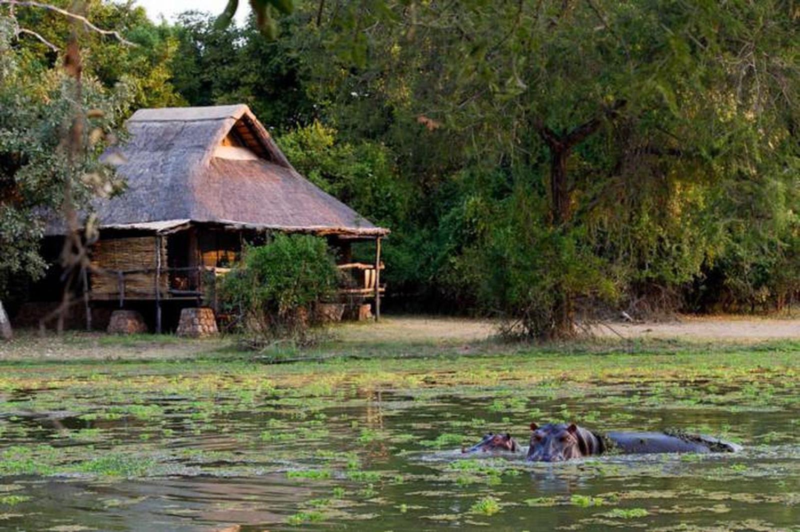 Luangwa Valley