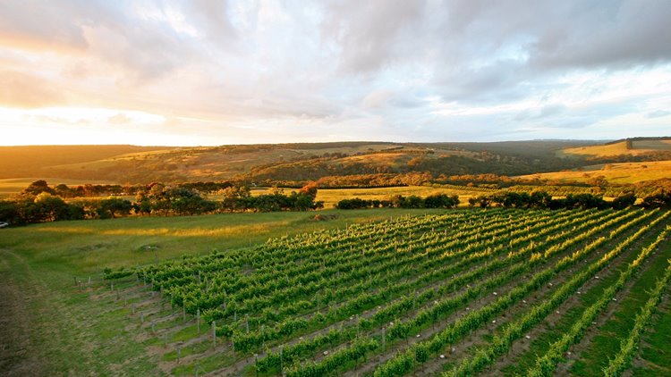 Mornington Peninsula | LAT.40