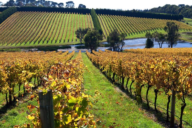 Mornington Peninsula | LAT.40