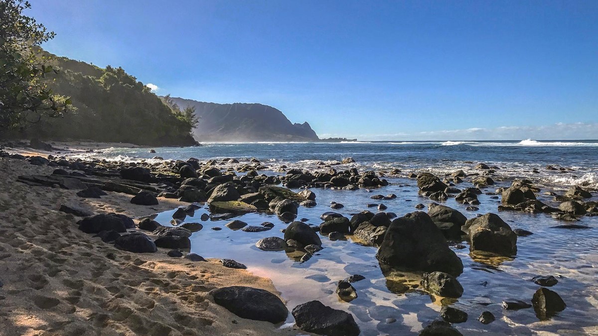Oahu | LAT.40