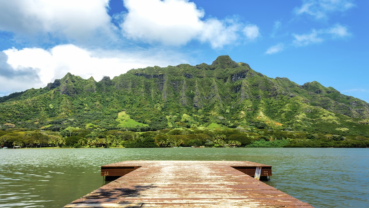 Oahu | LAT.40