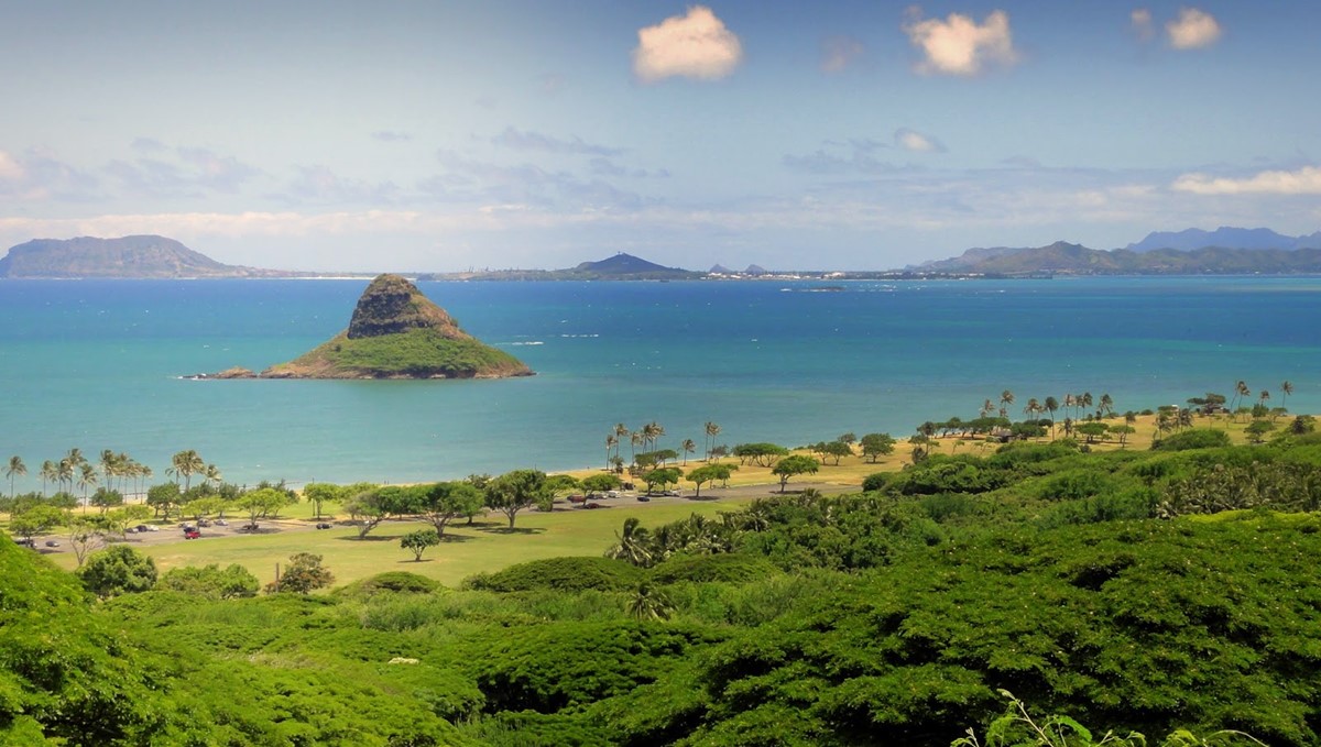 Oahu | LAT.40