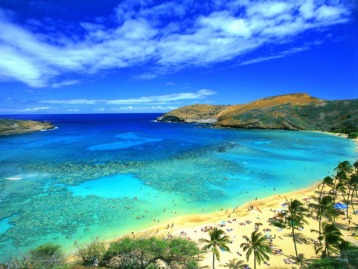 Oahu | LAT.40