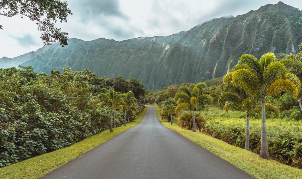 Oahu | LAT.40