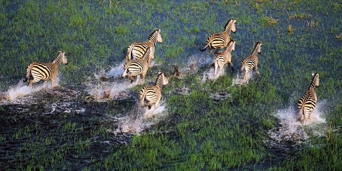 andBeyond Nxabega  en Delta Okavango