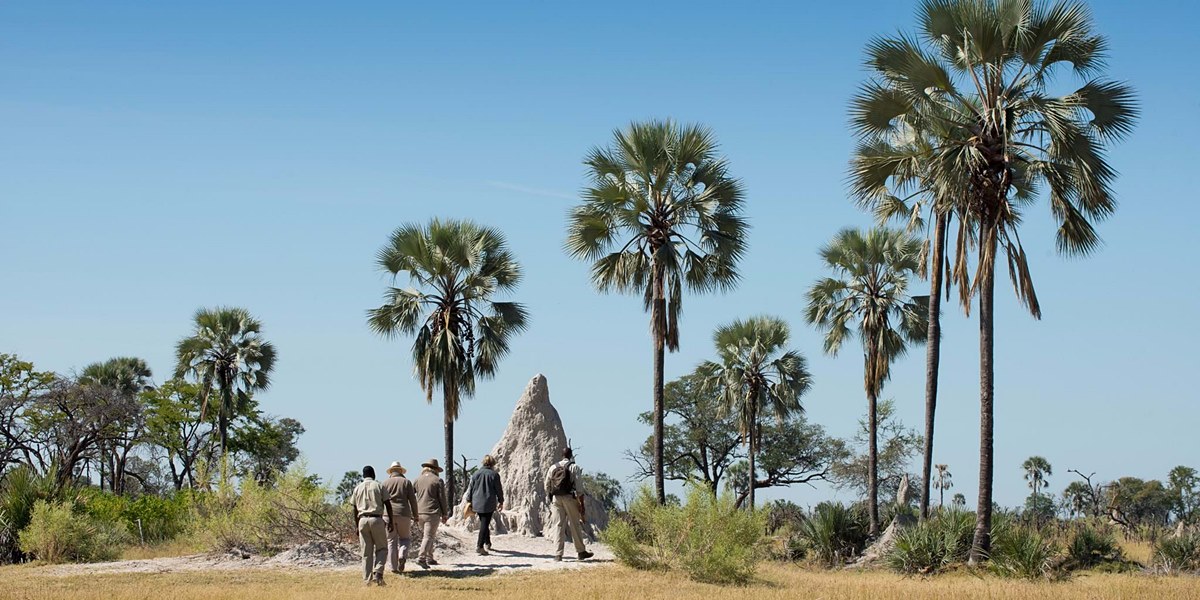 andBeyond Nxabega  en Delta Okavango