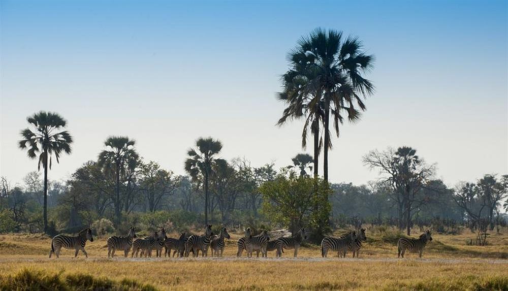 andBeyond Nxabega  en Delta Okavango