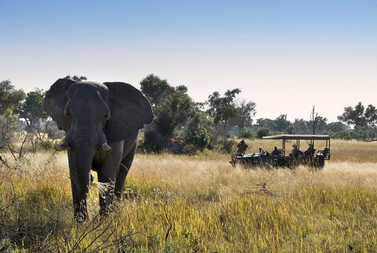 andBeyond Xarana en Delta Okavango