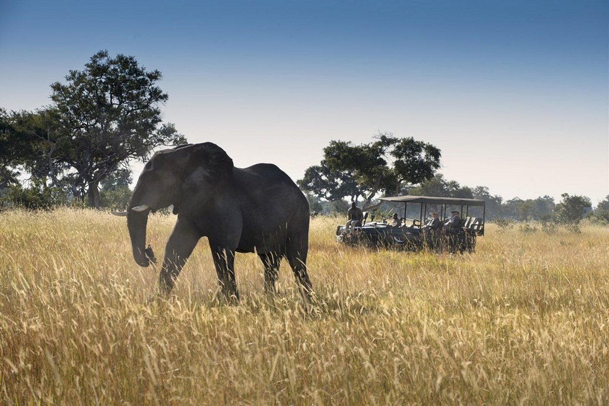 andBeyond Xarana en Delta Okavango