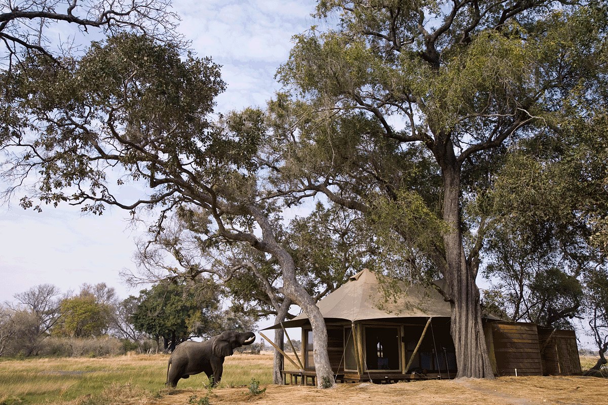 andBeyond Xarana en Delta Okavango