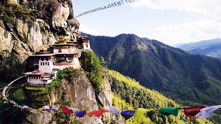 Paro | LAT.40