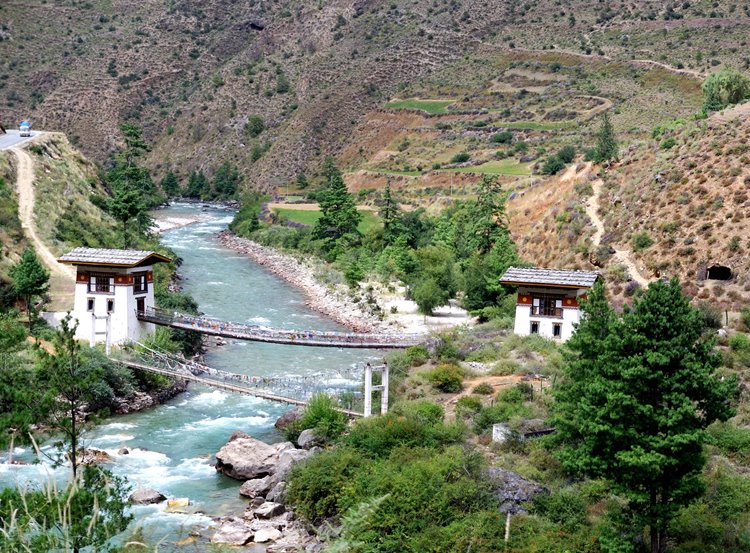 Paro | LAT.40
