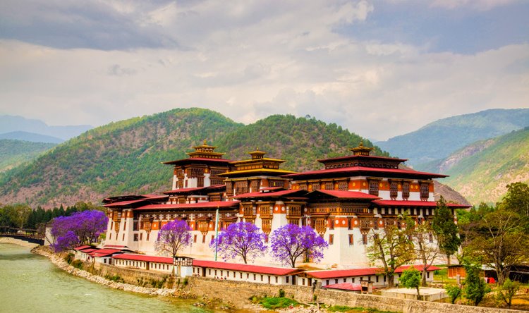 Paro | LAT.40