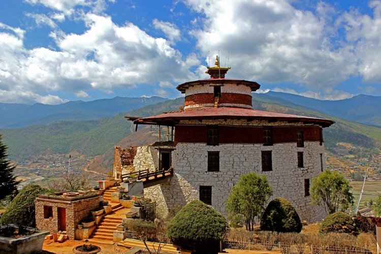 Paro | LAT.40
