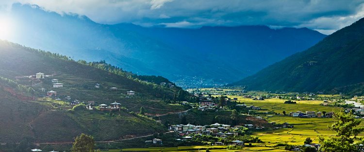 Paro | LAT.40