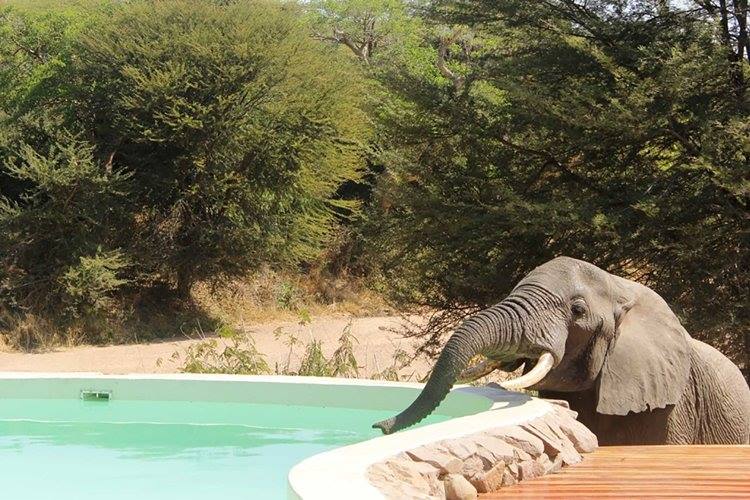 Luna de miel Zanzibar, Ruaha, Selous y Fanjove diseñado por LAT.40